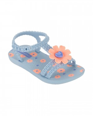 Blue / Pink Ipanema Daisy | 6098FKUOG