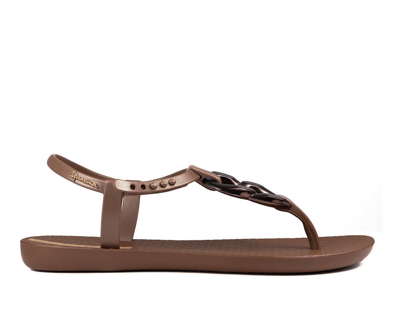 Brown / Brown Ipanema Class Connect | 8930IGPEL