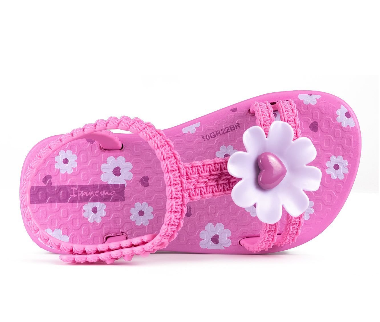 Purple / Purple Ipanema Daisy | 9813FKGPB